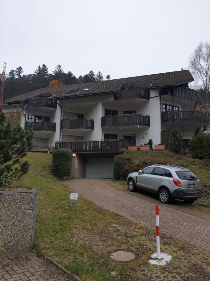 Gemuetliche Ferienwohnung Evieline In Тодтмос Экстерьер фото